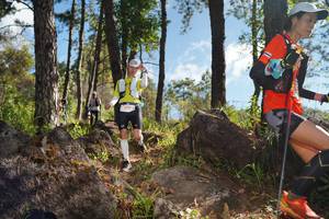 BIB: 3360
                            <button type="button" onclick="openModal(18937242)" class="btn btn-primary btn-sm float-right btn-popup" data-toggle="modal" data-target=".modal-high-quality">
                        <i class="fas fa-shopping-cart"></i> Add to Cart
                    </button>
                                            <button type="button" onclick="isThisMe(18937242, true)" class="btn btn-success btn-sm float-right btn-popup btn-isme hidden" data-toggle="tooltip" data-placement="bottom" title="นี่คือรูปของคุณใช่ไหม คลิกที่นี่เพื่อเอาเข้าอัลบั้ม">
                        <i class="fas fa-plus"></i> Add to album
                    </button>
                    <button type="button" onclick="isThisMe(18937242, false)" class="btn btn-warning btn-sm float-right btn-popup btn-isnotme hidden">
                        <i class="fas fa-ban"></i> Remove from album
                    </button>